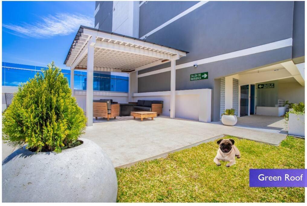 1102 Torre Los Yoses Hermoso Apartamento En Barrio Escalante Sin Parqueo San Jose  Bagian luar foto